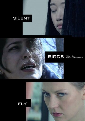 Постер «Silent Birds Fly»