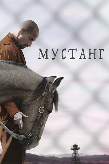 Постер «Мустанг»