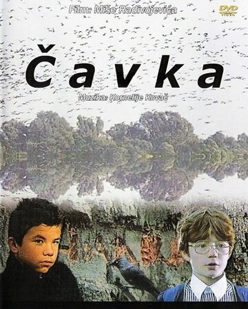 Постер «Галка»