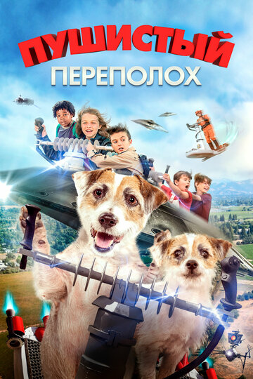 A Doggone Adventure