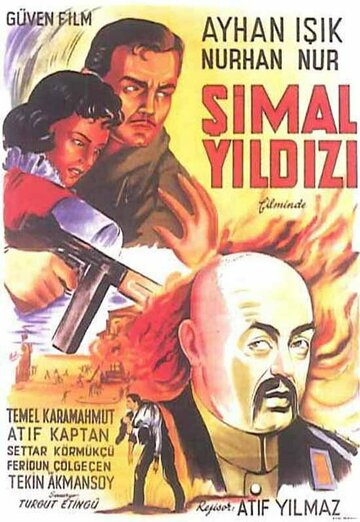Simal yildizi