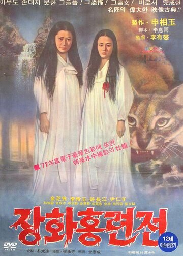 Постер «История двух сестер»