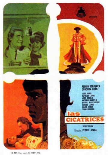 Постер «Las cicatrices»