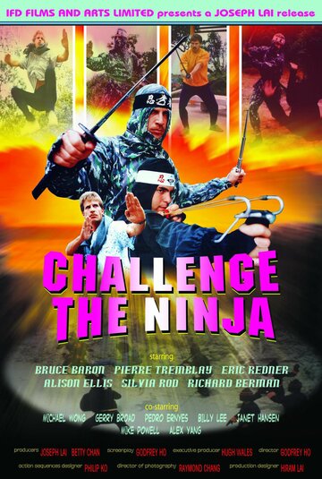 Challenge of the Ninja