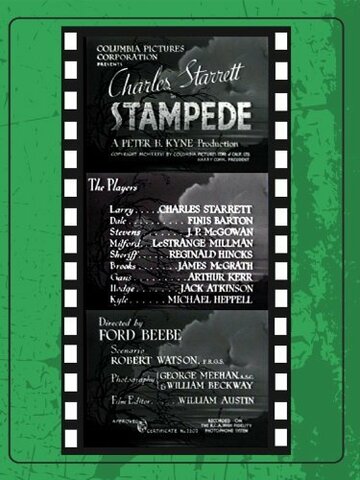 Stampede