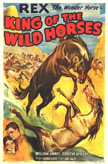 The King of Wild Horses