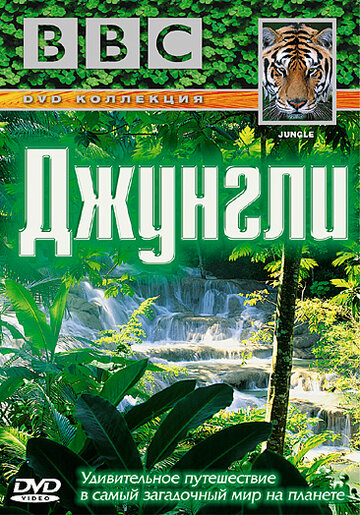 Постер «BBC: Джунгли»
