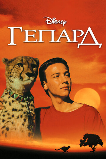 Постер «Гепард»