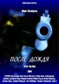 Постер «После дождя»