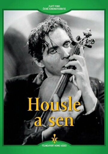 Housle a sen