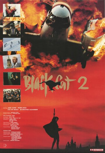 Постер «Черная кошка 2»