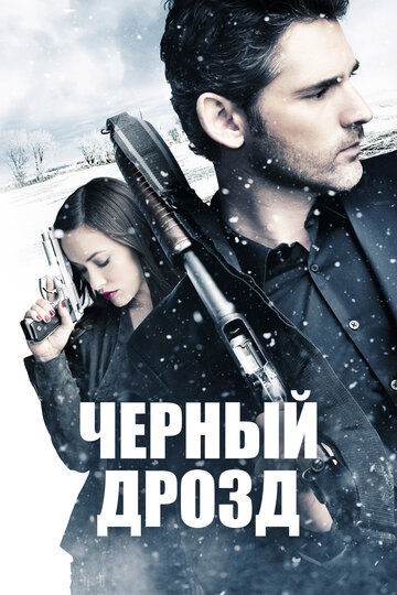 Черный дрозд