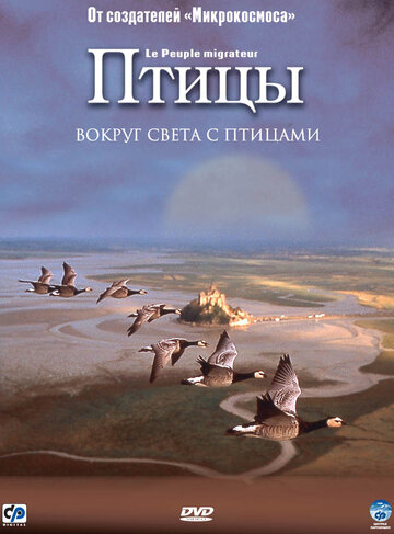 Постер «Птицы»