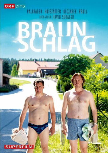 Braunschlag