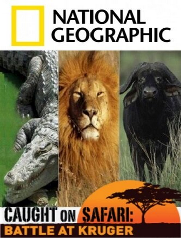 Caught on Safari: Battle at Kruger