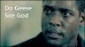 Do Geese See God?