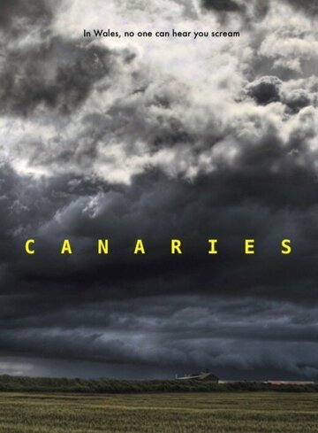 Постер «Canaries»