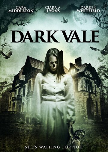 Постер «Dark Vale»