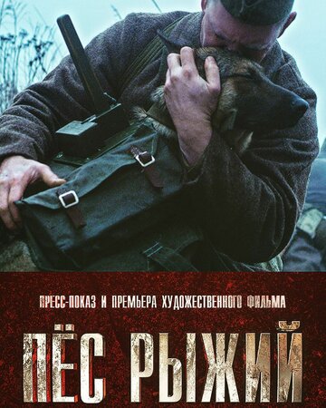 Пес рыжий