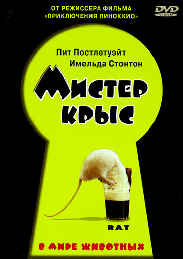 Постер «Мистер крыс»
